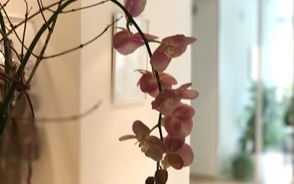 Gynäkologie Dübendorf, Frauenarzt Dübendorf, Praxis Stroie, Peter Rüegg, Lucian Stroie